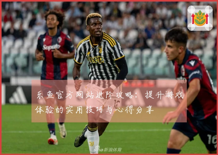 乐鱼官方网站进阶攻略：提升游戏体验的实用技巧与心得分享